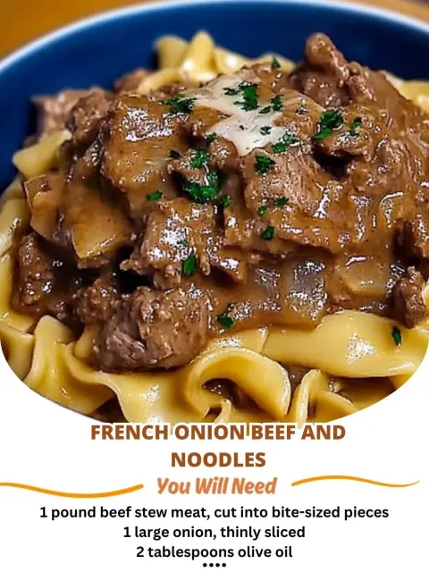 French Onion Beef and Noodles