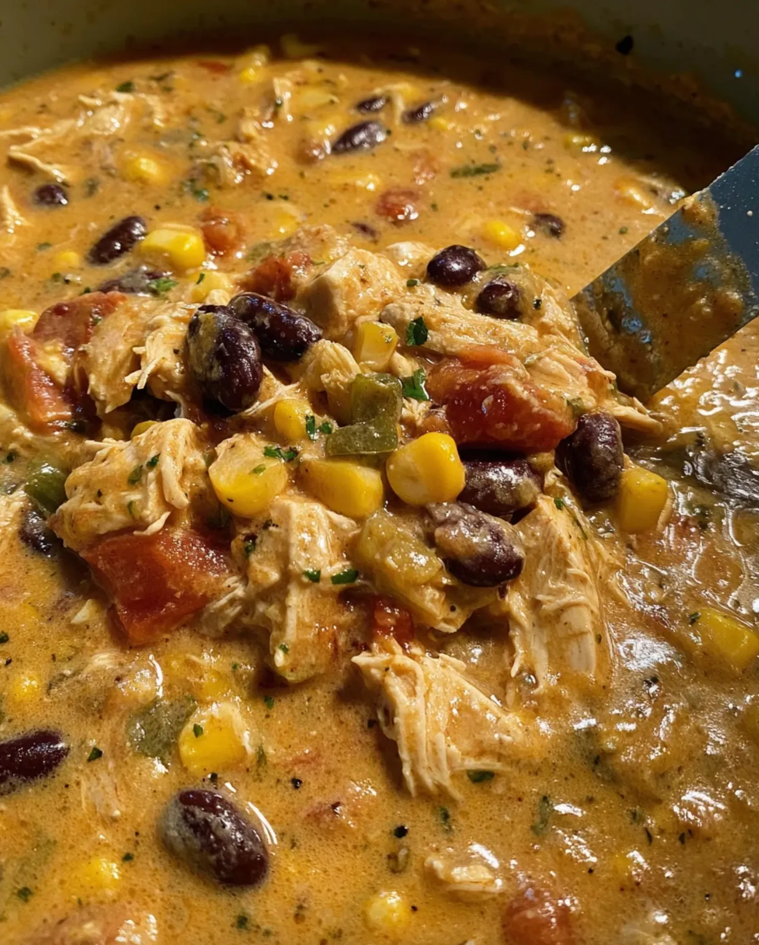Queso Chicken Taco Soup