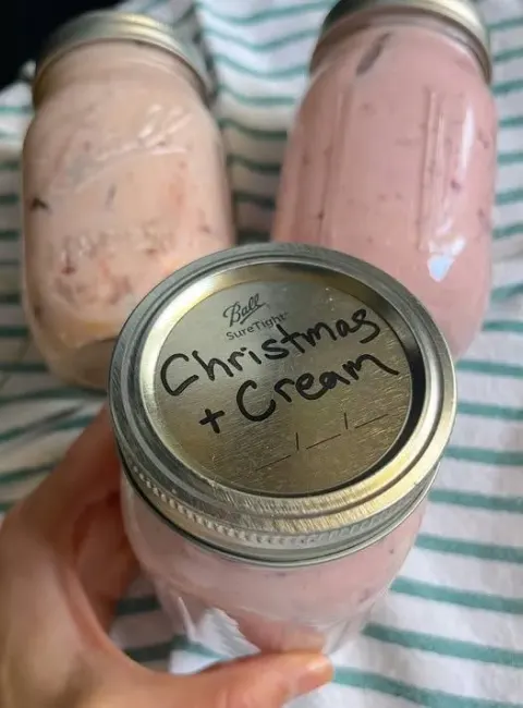 Festive Cranberry & Cream Cheese Spread