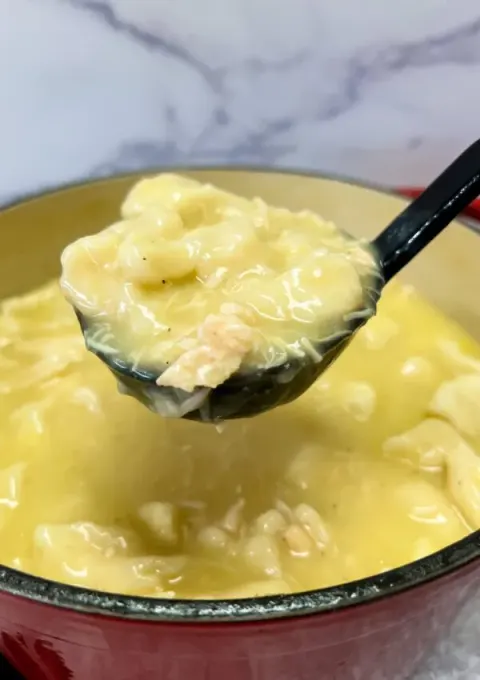 4 Ingredient Crockpot Chicken & Dumplings
