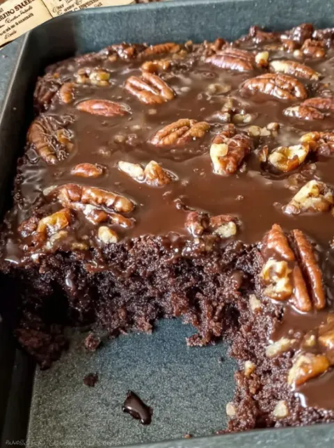 Old Southern Chocolate Pecan Sheet Cake: Rich, Buttery, and Pure Southern Comfort