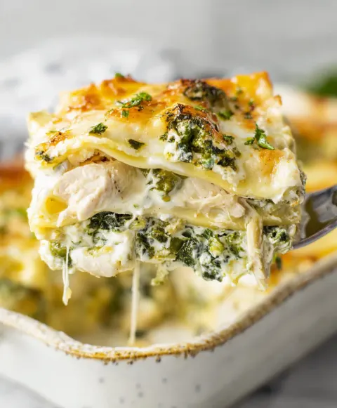 Creamy Chicken Lasagna