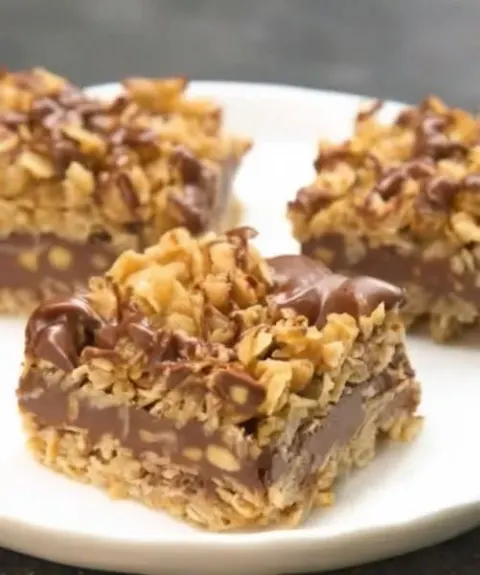 No-Bake Chocolate Oat Bars Recipe