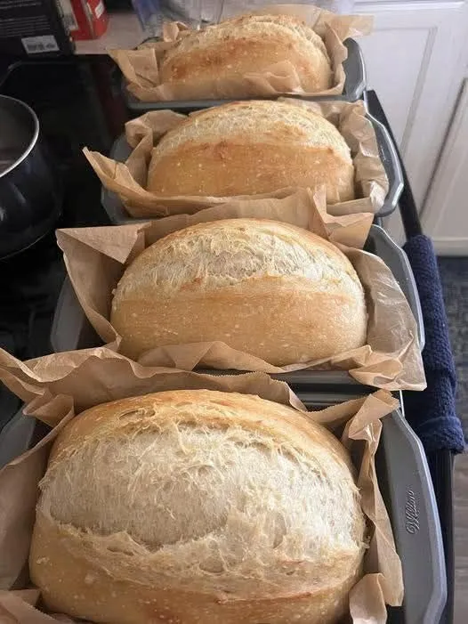 The Best No-Knead Sandwich Bread 🍞✨