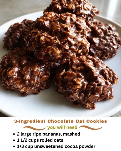 3-Ingredient Chocolate Oat Cookies