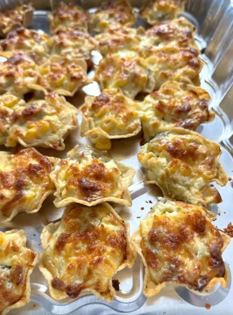 Iowa Party Bites