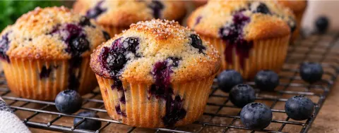 Blueberry muffins cooling on a wire rack with fresh blueberries scattered around